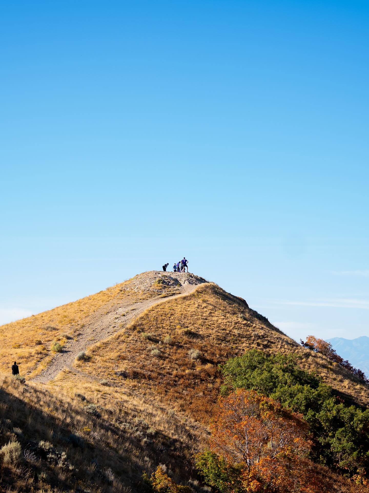爵士官方晒, 爵士官方晒
