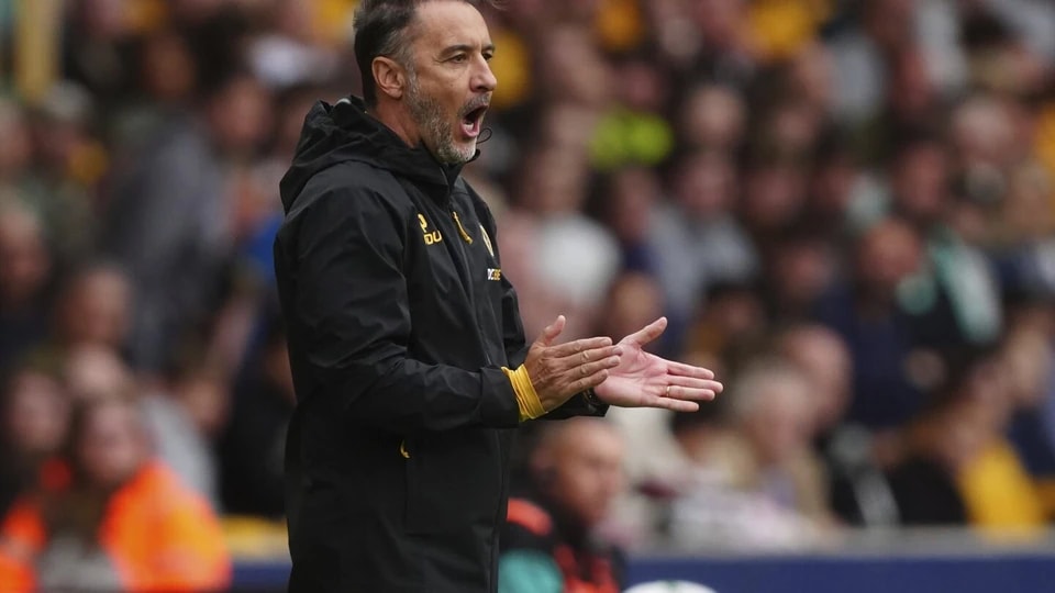 月份确保了, tenan 月份确保了, tenan