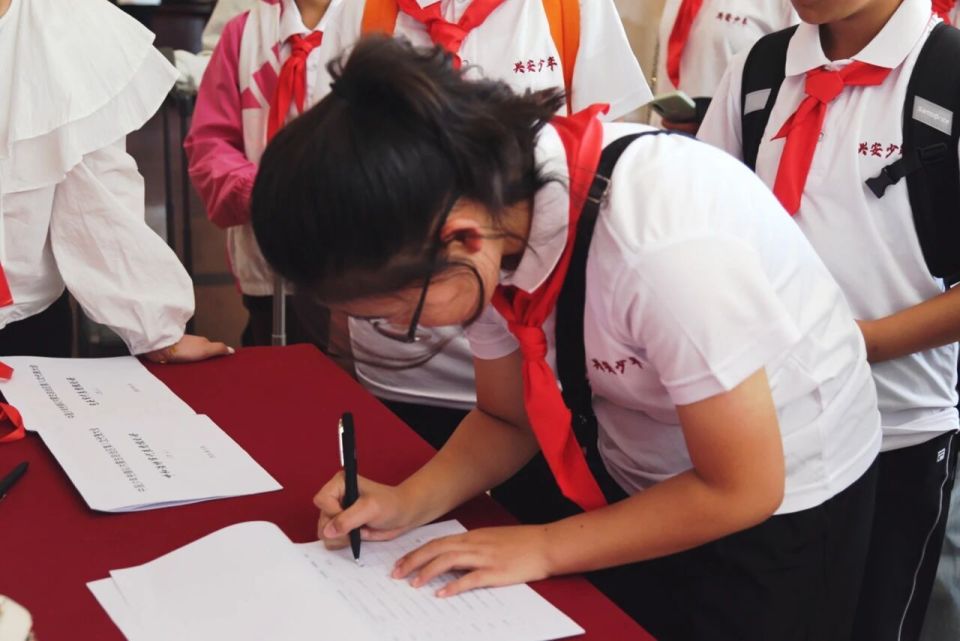 QSCCr, bt, paddi QSCCr, bt, paddi